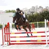 kika26662