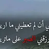 user19966615783004