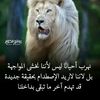 adishiab