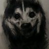 alexxqsi60