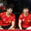 Góc nhỏ của Nhung 🦈🦁❤️