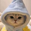 jan_noon_