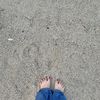 syella kn