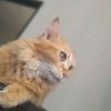 tiktok_nofiticationbot