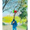 it.rana2
