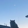 hanky.likes.starb