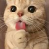 user834104290760
