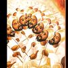 ክብራኤል first
