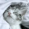 sleeepy.girl