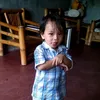 franz_dador