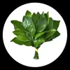 t.tam_2011