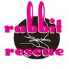 rabbit_rescue_inc