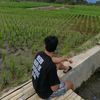 brodhot_