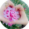 user2881173480658