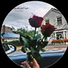 user82865701981291
