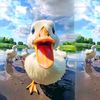 mr.duck_009