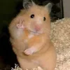 pabllovamp_pablli