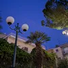 alex_530994