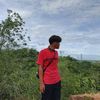 fizz76652