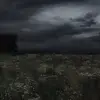 angocdie