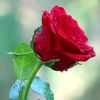 user271869674