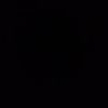 noah_3917