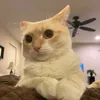 random_rst1