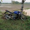 labubuu117