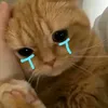 connguoi745