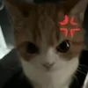 happyclyde.7