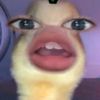 nana_imuppbgt