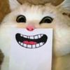 yayxf7xff9
