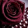 user3390138447111