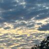 null84062