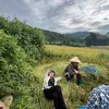 thanhchung20072