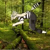la.vrais.neko