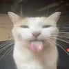 orange.od