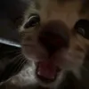 iloveplov_1