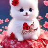 user82498167660706
