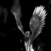 pl4m3n4.210