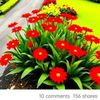 rubel.haji67