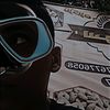 ya_ss_en.2