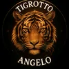 angelo_tigrotto_verysasy