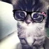 eluu.ney
