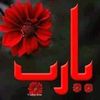 sahar.ahmed446
