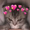 its.gechuu