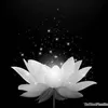 hong.nguyen2843
