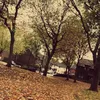 ..avashrpl3s