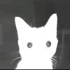 szy_vio