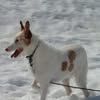 patty.cowdery